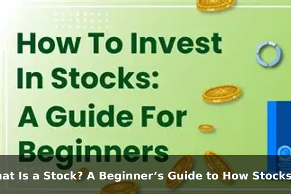What Is a Stock? A Beginner’s Guide to How Stocks Work