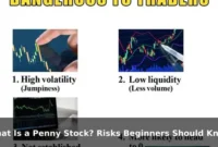 What Is a Penny Stock? Risks Beginners Should Know