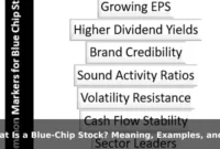 What Is a Blue-Chip Stock? Meaning, Examples, and Risks
