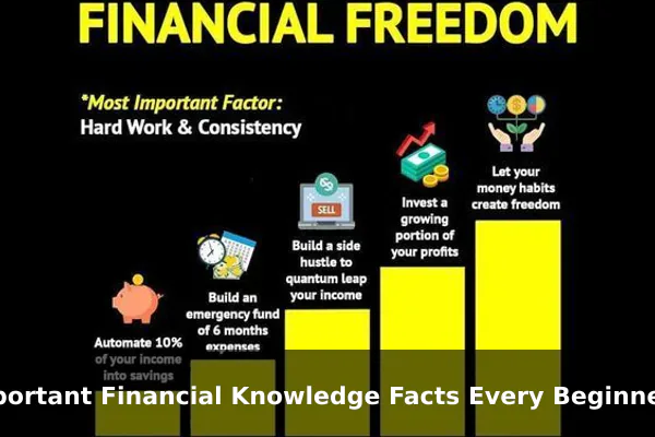 Important Financial Knowledge Facts Every Beginner Should Know